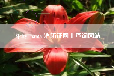 德州消防证网上查询网站