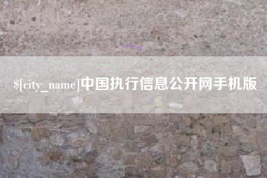 德州中国执行信息公开网手机版