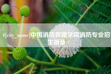 德州中国消防救援学院消防专业招生简章