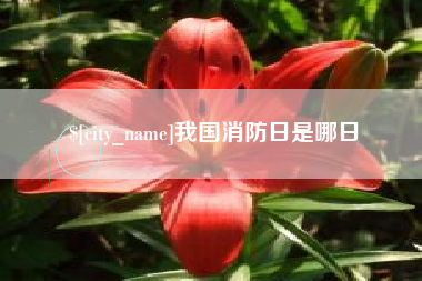 德州我国消防日是哪日