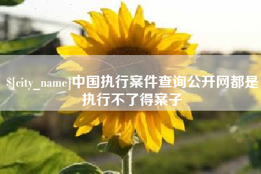 德州中国执行案件查询公开网都是执行不了得案子