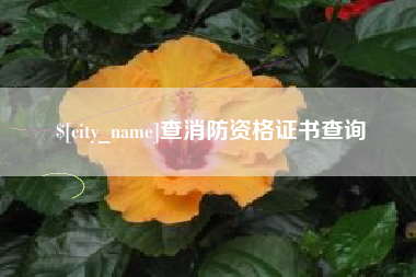 德州查消防资格证书查询