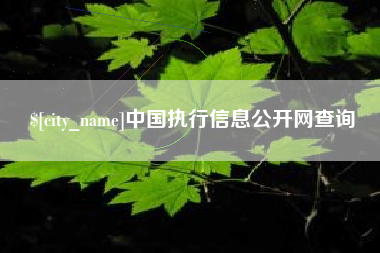 德州中国执行信息公开网查询