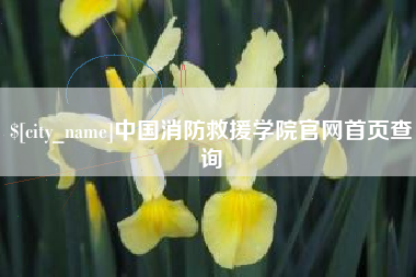 德州中国消防救援学院官网首页查询