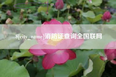 德州消防证查询全国联网