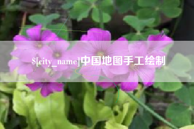 德州中国地图手工绘制
