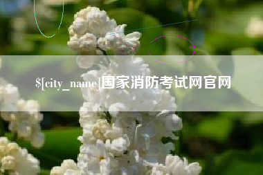德州国家消防考试网官网