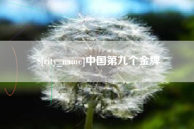 德州中国第九个金牌