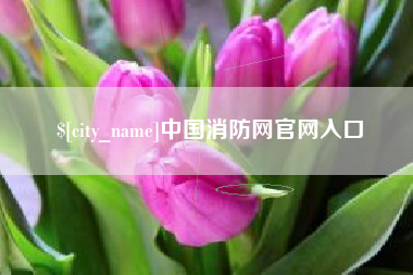 德州中国消防网官网入口