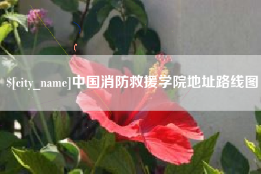 德州中国消防救援学院地址路线图