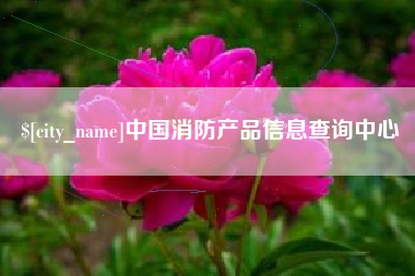 德州中国消防产品信息查询中心