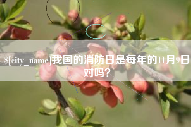 德州我国的消防日是每年的11月9日对吗？