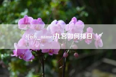 德州九宫如何排日