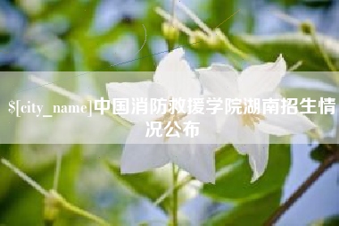 德州中国消防救援学院湖南招生情况公布