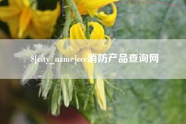 德州ccc消防产品查询网