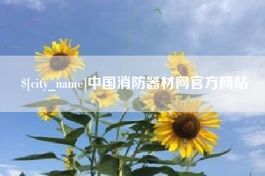 德州中国消防器材网官方网站