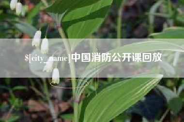 德州中国消防公开课回放