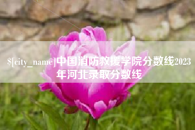 德州中国消防救援学院分数线2023年河北录取分数线