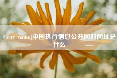 德州中国执行信息公开网的网址是什么