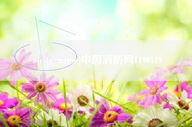 德州中国消防网1190119
