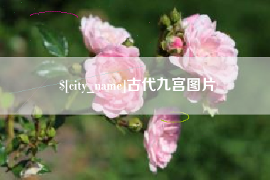 德州古代九宫图片