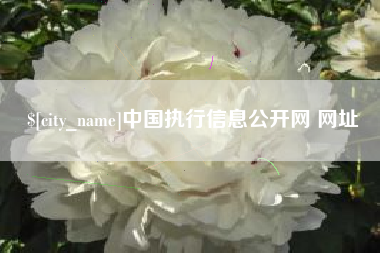 德州中国执行信息公开网 网址