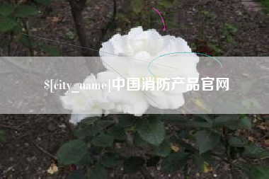 德州中国消防产品官网