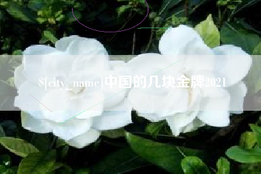 德州中国的几块金牌2021