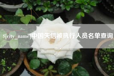德州中国失信被执行人员名单查询