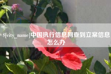 德州中国执行信息网查到立案信息怎么办