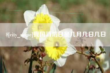 德州我国消防日是几月几日几日