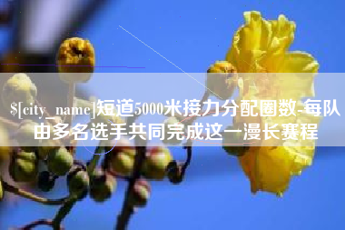 德州短道5000米接力分配圈数-每队由多名选手共同完成这一漫长赛程