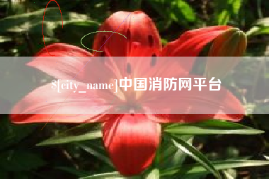 德州中国消防网平台