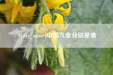 德州中国九金分别是谁