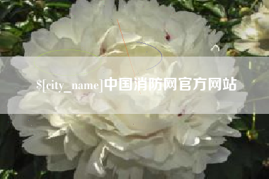 德州中国消防网官方网站