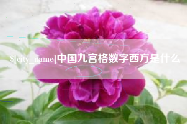德州中国九宫格数字西方是什么
