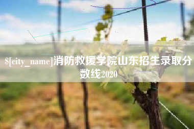 德州消防救援学院山东招生录取分数线2020