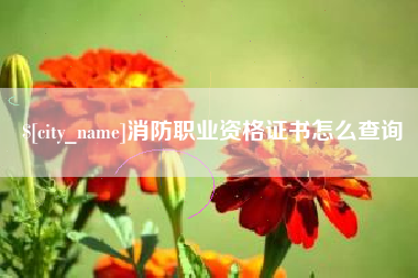 德州消防职业资格证书怎么查询
