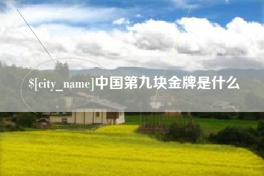 德州中国第九块金牌是什么