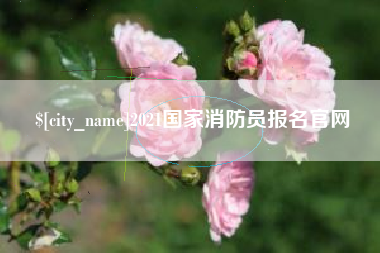 德州2021国家消防员报名官网