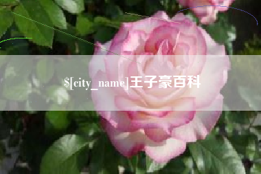 德州王子豪百科