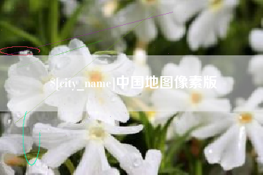 德州中国地图像素版