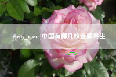 德州中国有哪几枚金牌得主