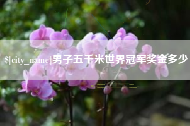 德州男子五千米世界冠军奖金多少