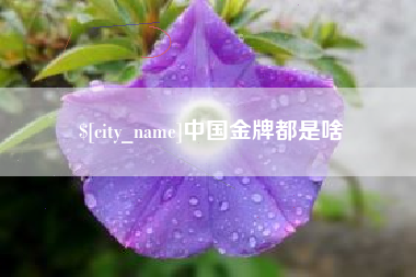 德州中国金牌都是啥