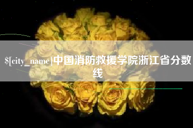 德州中国消防救援学院浙江省分数线