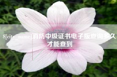 德州消防中级证书电子版查询多久才能查到