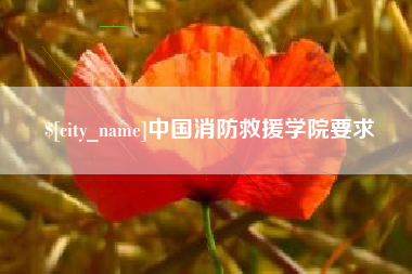 德州中国消防救援学院要求