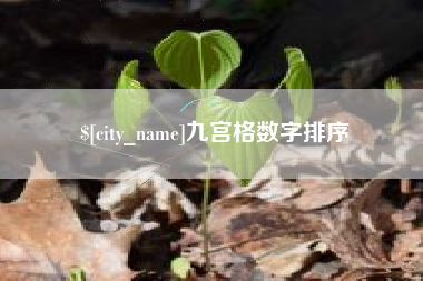 德州九宫格数字排序