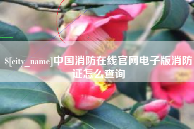 德州中国消防在线官网电子版消防证怎么查询